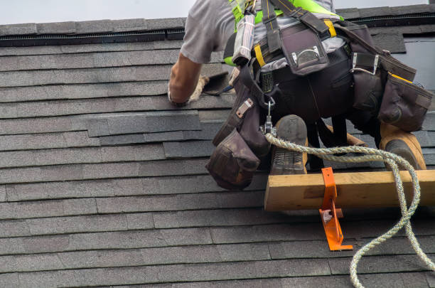 Roof Gutter Cleaning in La Conner, WA
